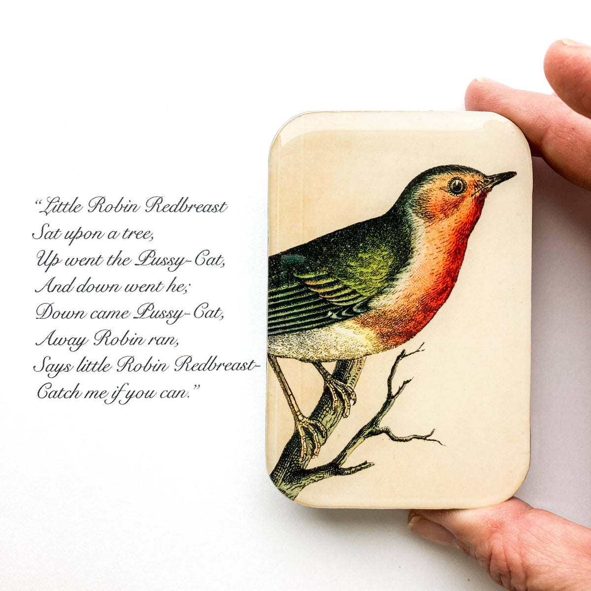 Robin Notions tin: Small