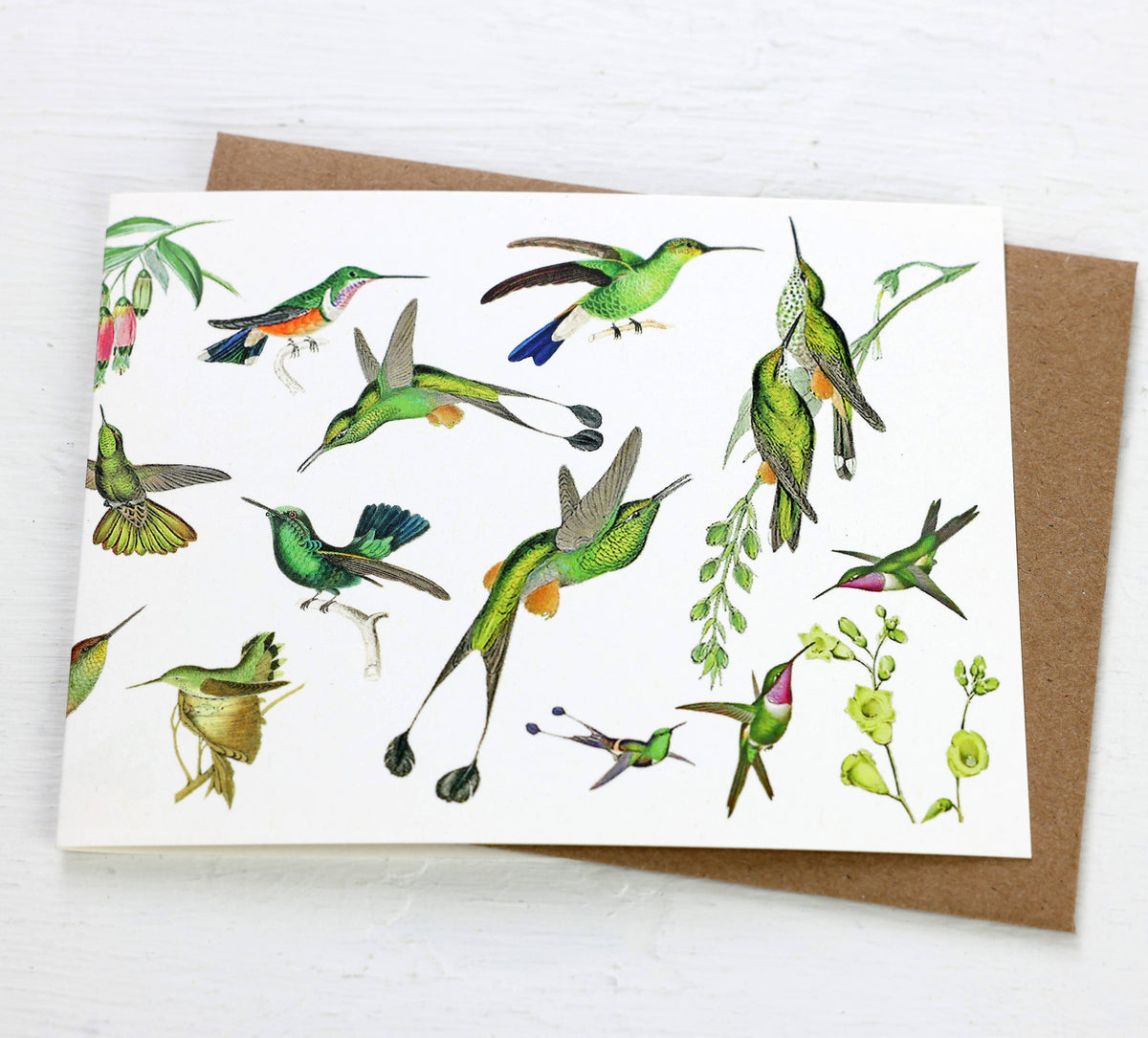 Hummingbirds Card