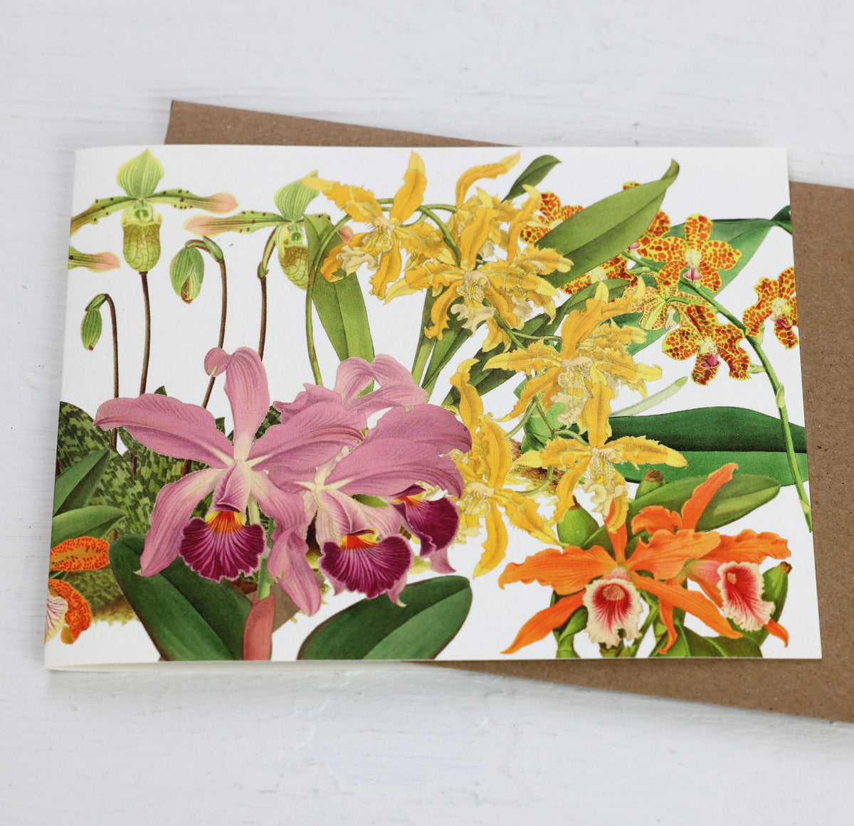Orchid Card