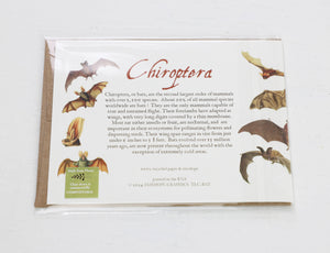Bats Card
