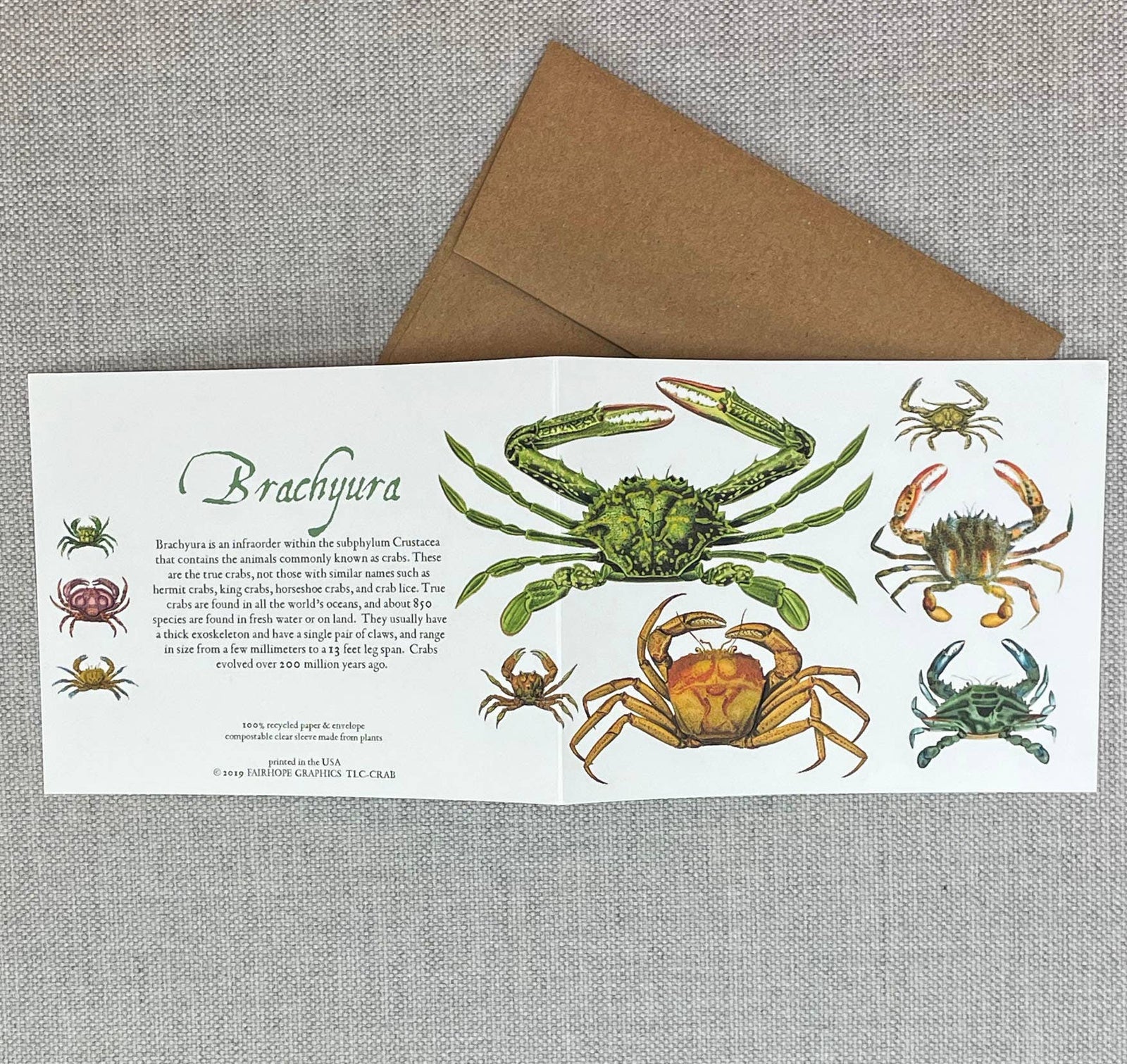Crabs Card