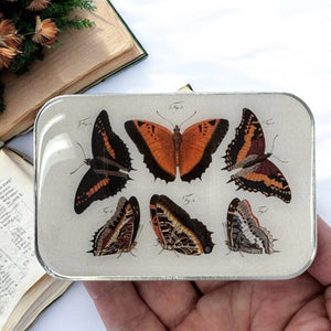 Orange Butterflies Notions Tin: Large