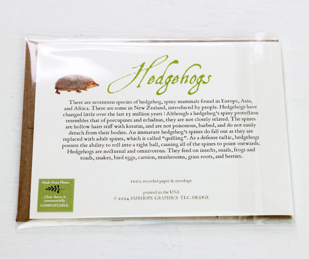Hedgehogs Card