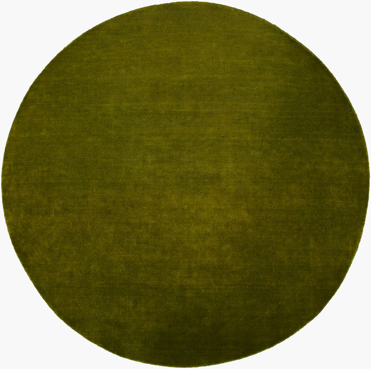 Evergreen Rug in Basil