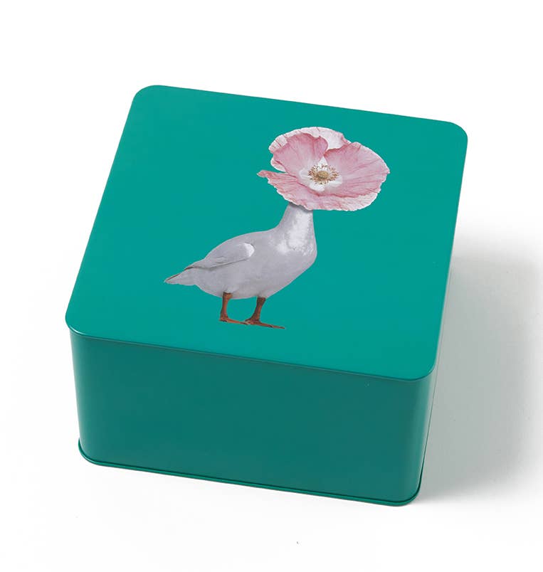 Square Duck Box - Diva