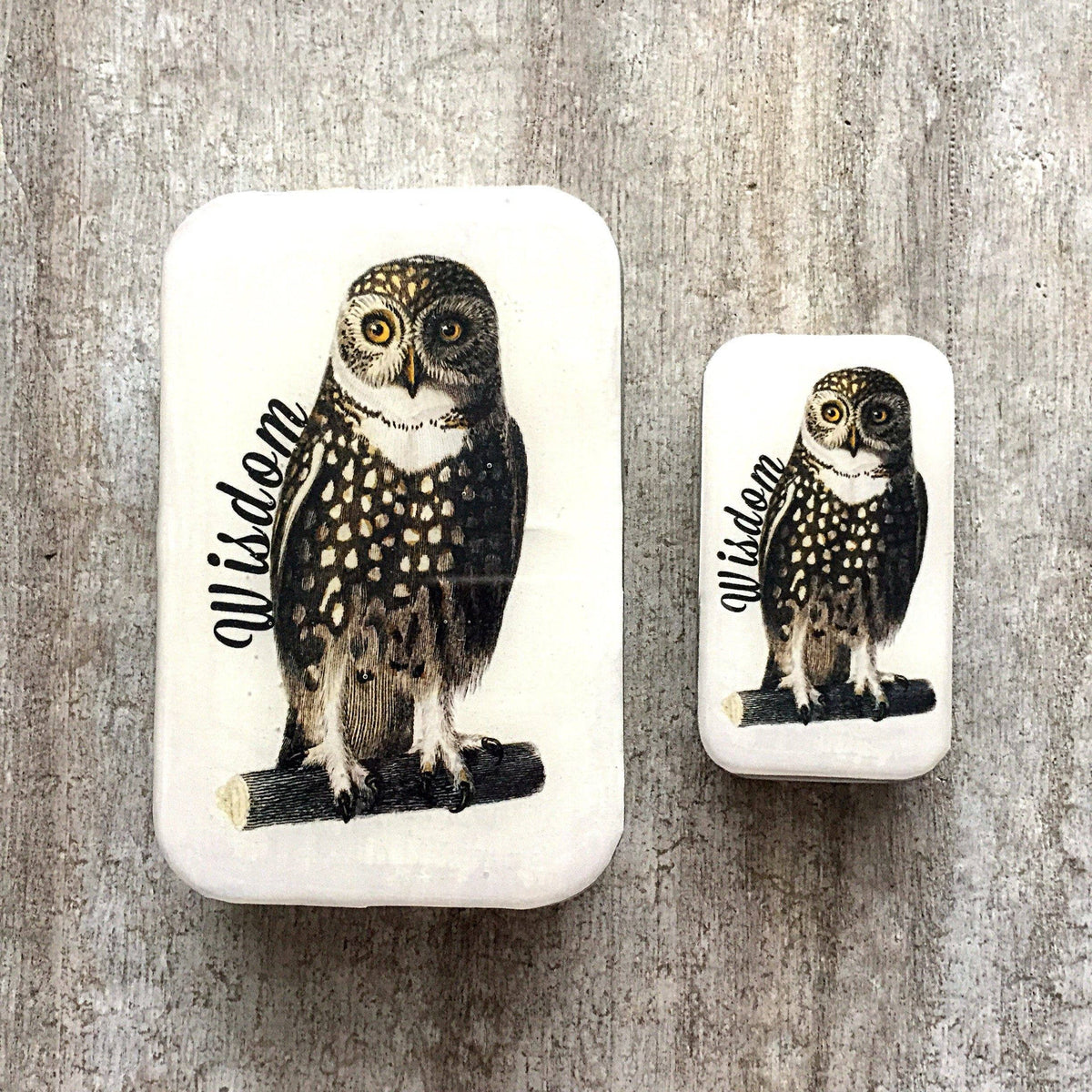 Wise Owl Tin: Small