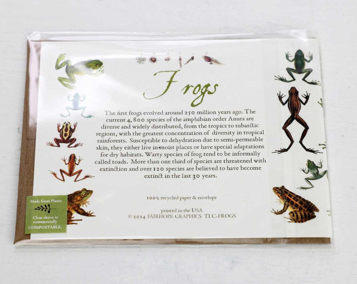 Frogs Card