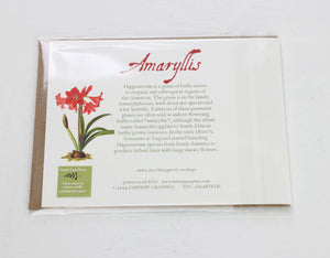 Amaryllis Card