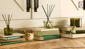 Frasier Fir Premium Reed Diffuser