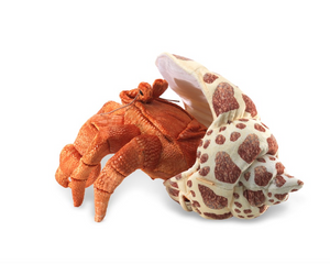 hermit crab puppet