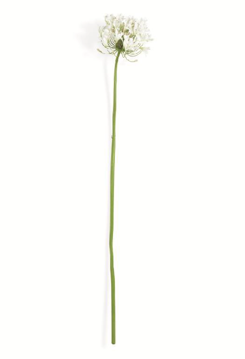 artificial white agapanthus flower