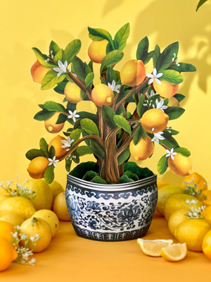 Lemon Blossom Tree Pop-Up Bouquet