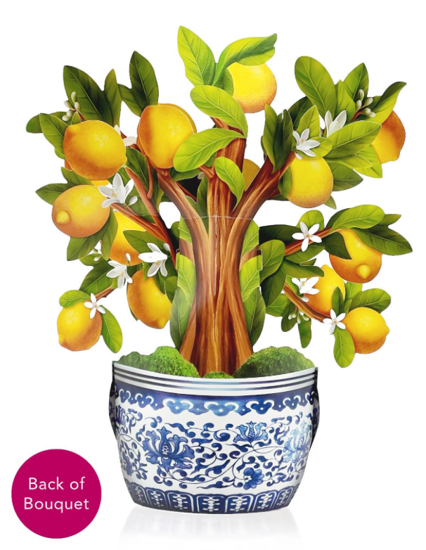 Lemon Blossom Tree Pop-Up Bouquet