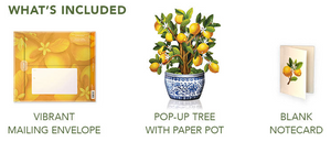 Lemon Blossom Tree Pop-Up Bouquet