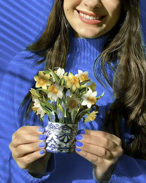 Mini English Daffodils Pop-Up Bouquet
