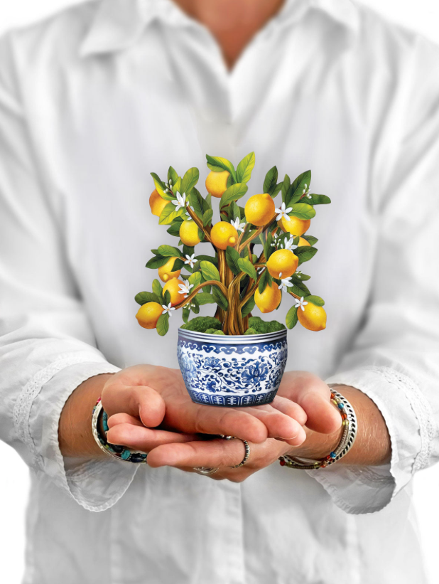 Mini Lemon Tree Pop-Up Bouquet