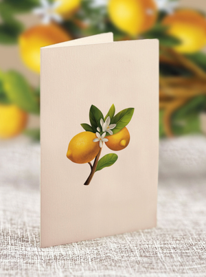 Mini Lemon Tree Pop-Up Bouquet