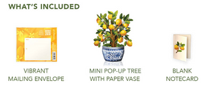 Mini Lemon Tree Pop-Up Bouquet