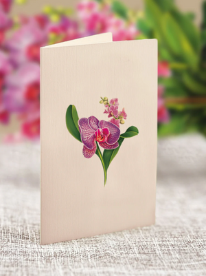 Mini Orchid Oasis Pop-Up Bouquet