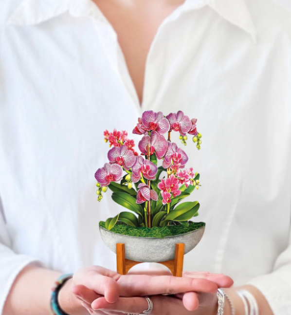 Mini Orchid Oasis Pop-Up Bouquet