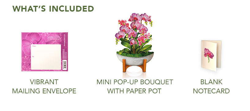 Mini Orchid Oasis Pop-Up Bouquet