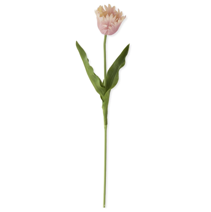 'Real Touch' Parrot Tulip