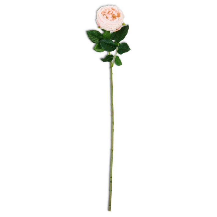 24 inch peach real touch Austin rose stem