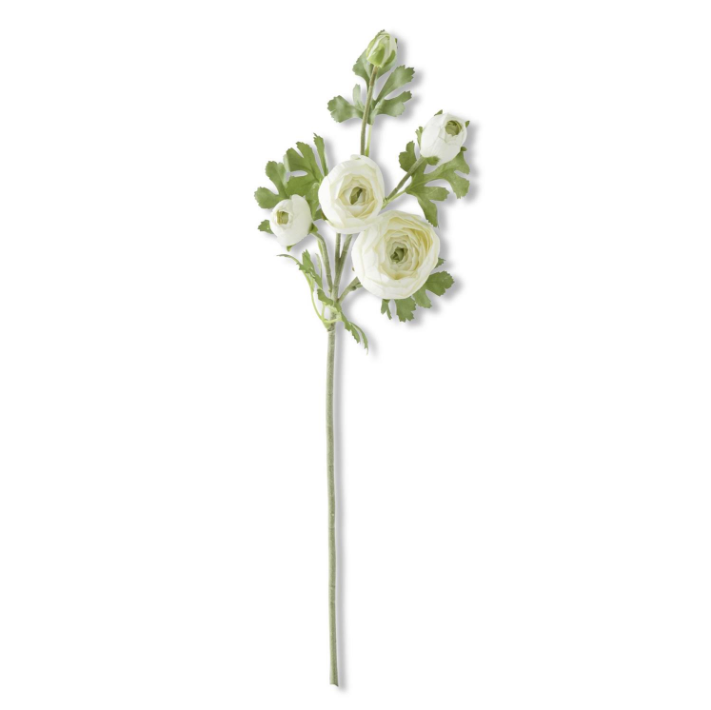 24.5 inch white real touch 5 head ranunculus stem