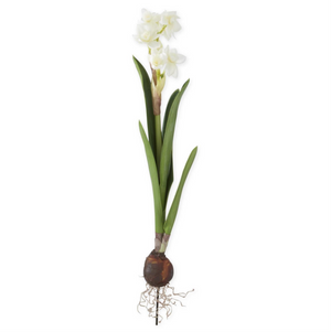 'Real Touch' Daffodil Bulb in White or Yellow