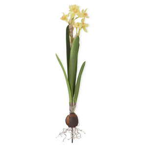 'Real Touch' Daffodil Bulb in White or Yellow