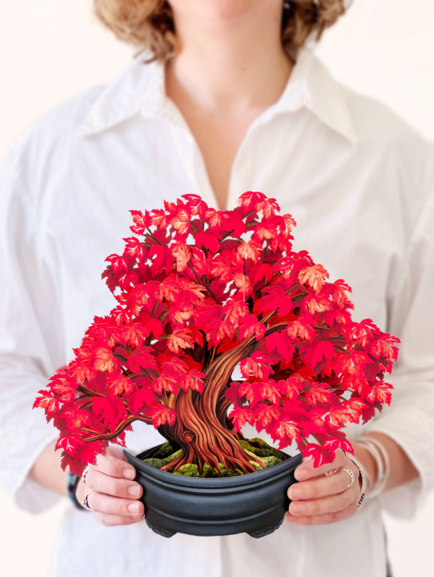 Red Maple Tree Pop-Up Bouquet