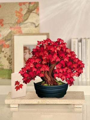 Red Maple Tree Pop-Up Bouquet