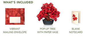 Red Maple Tree Pop-Up Bouquet