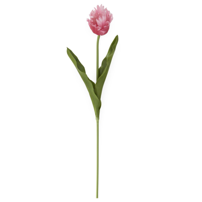 'Real Touch' Parrot Tulip