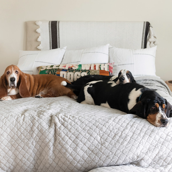 "Sleeps With Dogs" Throw Pillow