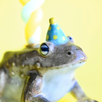 Cake Topper - Single Birthday Candle Holder