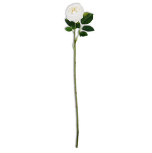 24 inch white real touch Austin rose stem