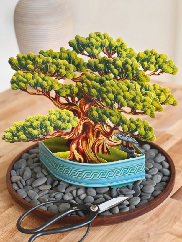 Wisdom Bonsai Pop-Up Bouquet