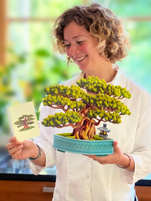 Wisdom Bonsai Pop-Up Bouquet