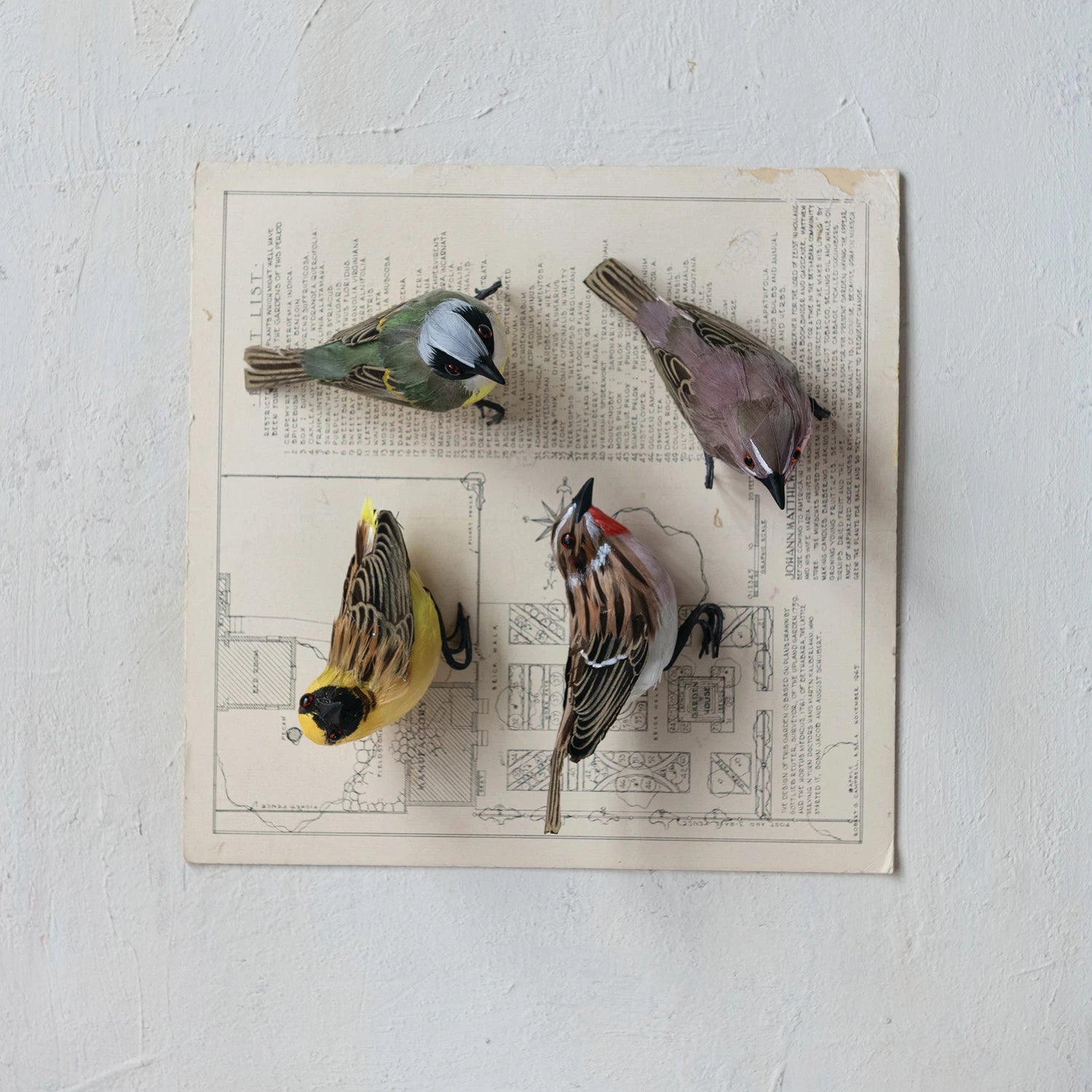 Bird Ornament