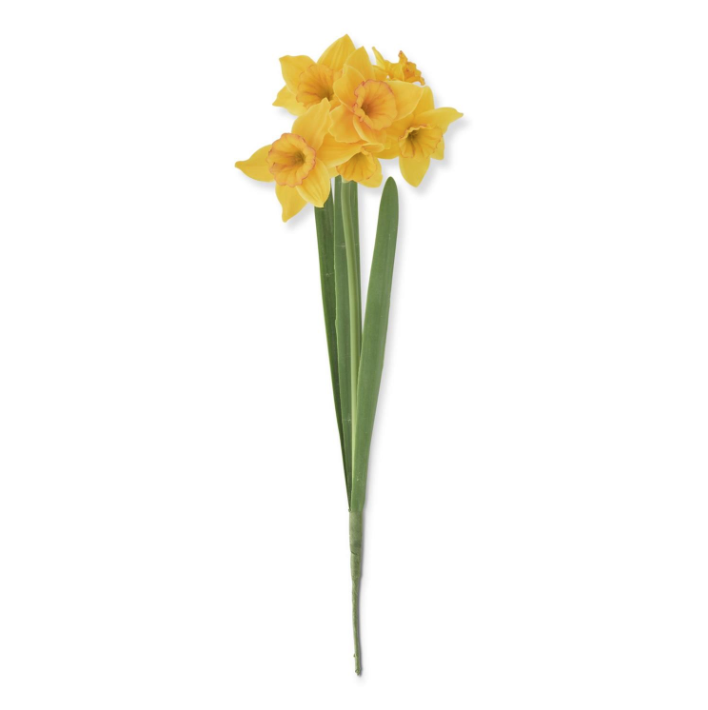Yellow 6 Bloom Faux Daffodil Stem