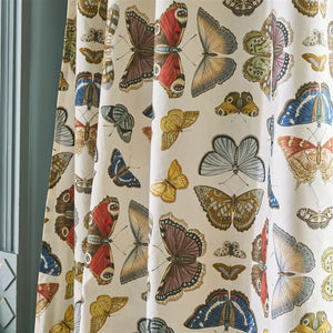 Mirrored Butterfly Fabric