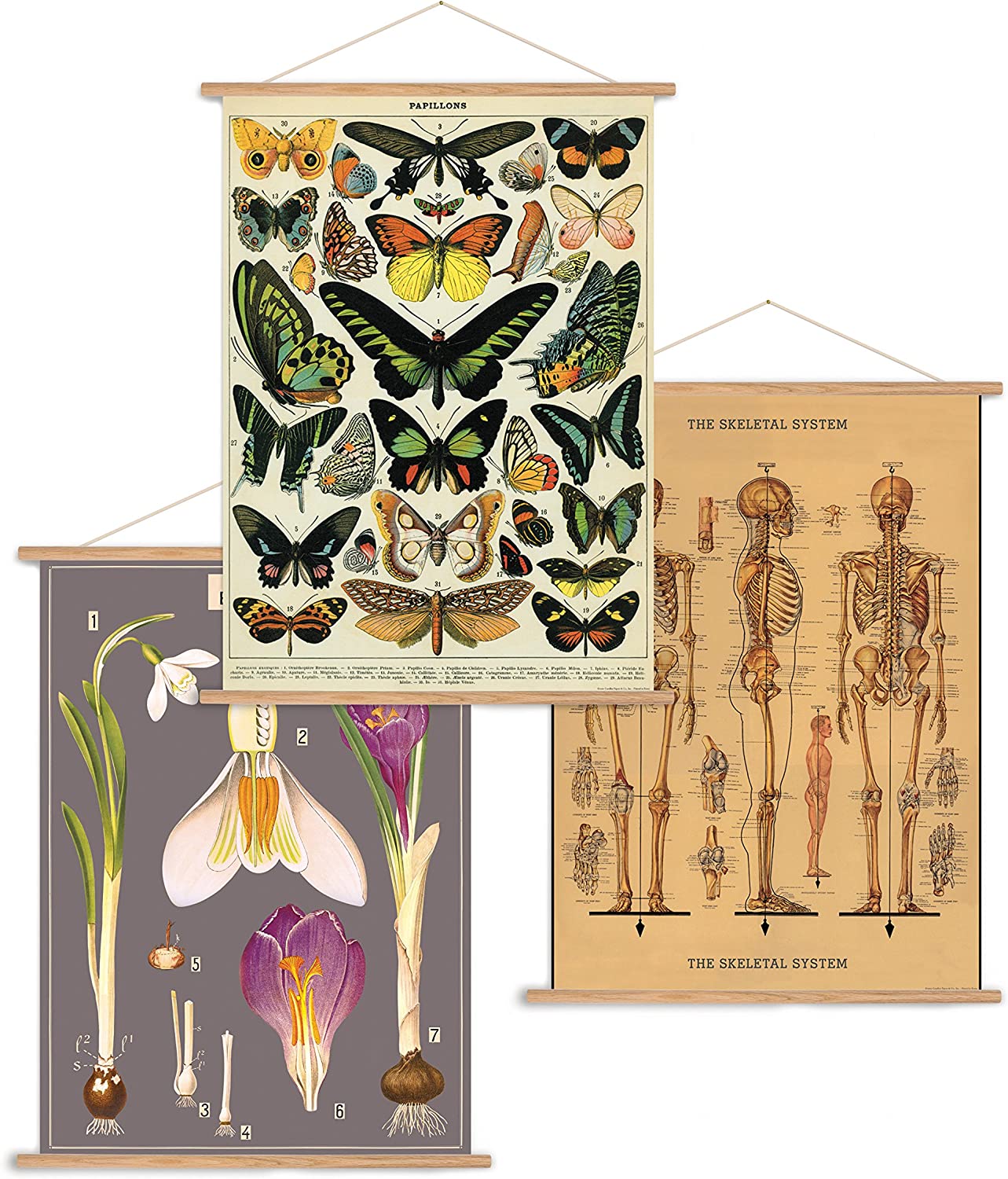 Poster Kit Vintage (Vertical)