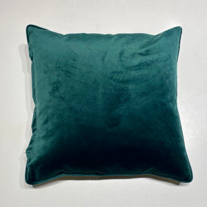 Velvet Pillows - Assorted Colours