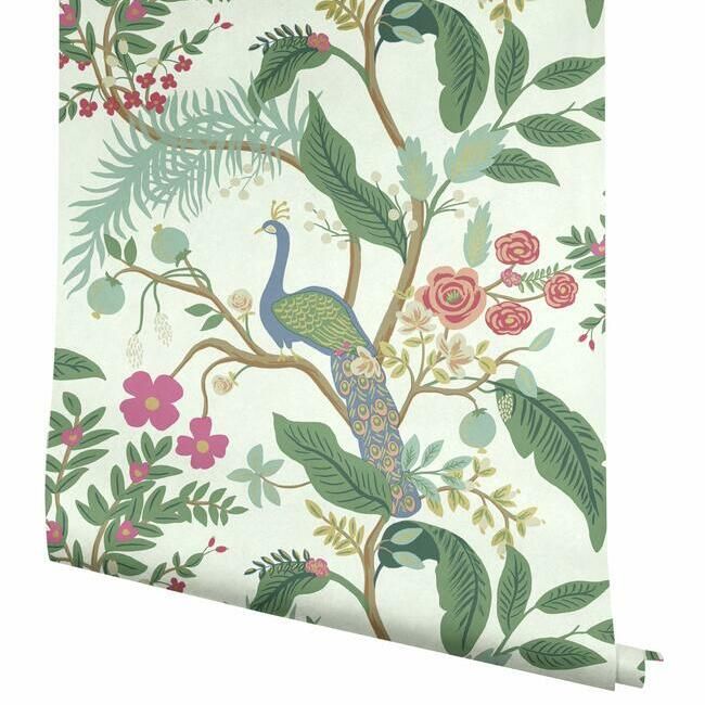 Peacock wallpaper (7 Colourways)